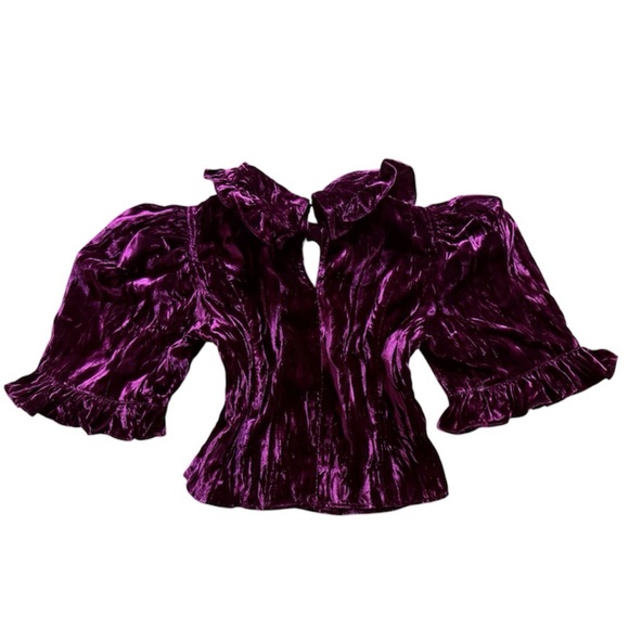 RARE // Luxurious and elegant purple velvet blouse by Batsheva - Picture 2 of 4